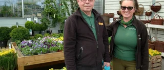 Paret bakom Solberga blommor har massor av anledningar att fira
