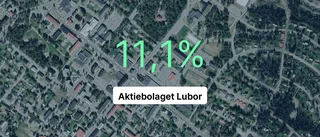 Aktiebolaget Lubor: Siffrorna från gångna året