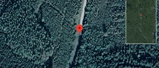 Nedfallna träd påverkar trafiken på väg 830
