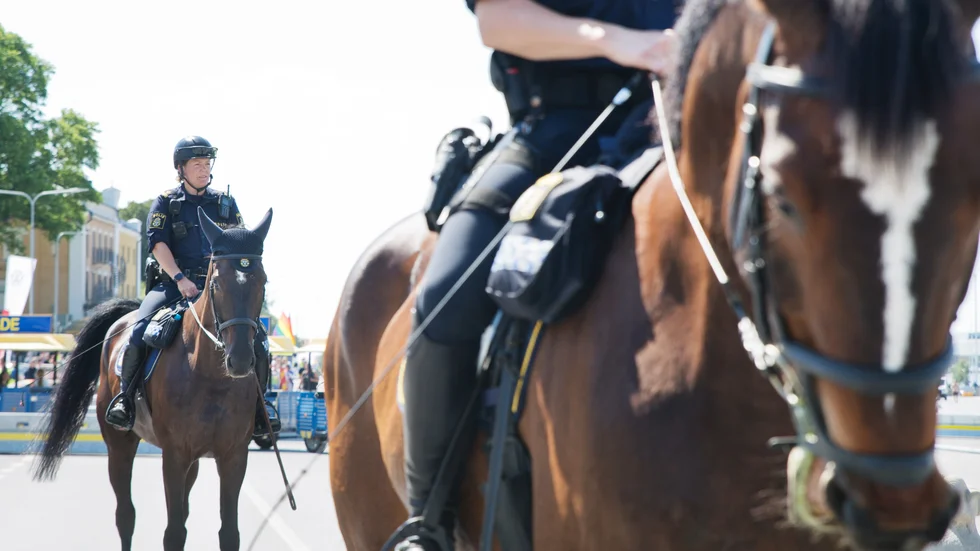 Varhelst det är stora folksamlingar kan Malin Hägglund, ursprungligen från Sjonhem, och hennes tjänstehäst Kakan dyka upp. Demonstrationer, parader, fotbollsmatcher och helgkvällar i Stockholms city. I juni patrullerade de under Almedalsveckan i Visby.