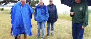 Blomstervandring i regn       