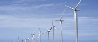 Vindkraften ska inte utvecklas - den ska avvecklas