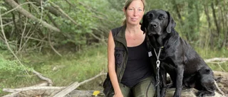 Hunden Bizzie vann Nose Work – "ett grisöra och en skiva köttfärslimpa" som pris