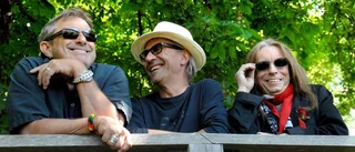 Stjärntrio kommer till Hojrocken