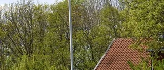 Moderatledd regering avskaffar sjukdom