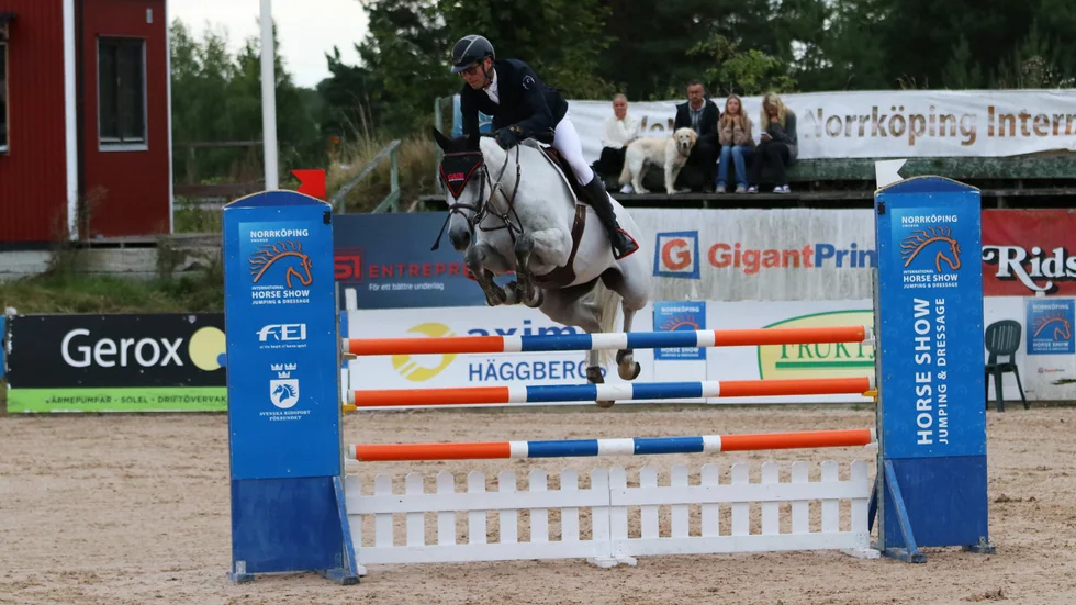 Hemmahopparen Marcus Westergren på framtidshästen Dagada des Grevis blev tvåa i den lägre ATG-finalen.