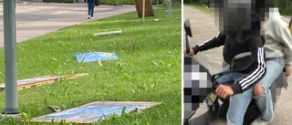 Här slår "valvandalerna" till – stoppade av vittne som fotograferade gärningsmännen • Skadegörelsen polisanmäld