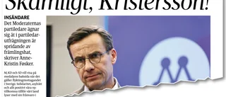 Føsker bidrar till smutskastning