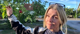 Odlingspedagogen: "Det vore en självklarhet att ha svenska äpplen året runt" • Uppskattar den svenska fruktsmaken
