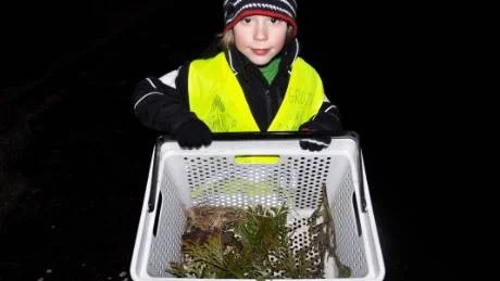 Hugo Frisell är ute varje kväll med sin korg och räddar paddor från att bli överkörda på Norrlandsvägen. Han tycker att bilister borde se sig för så att inte paddorna behöver riskera livet när de går över vägen. Foto: Elin Lönn