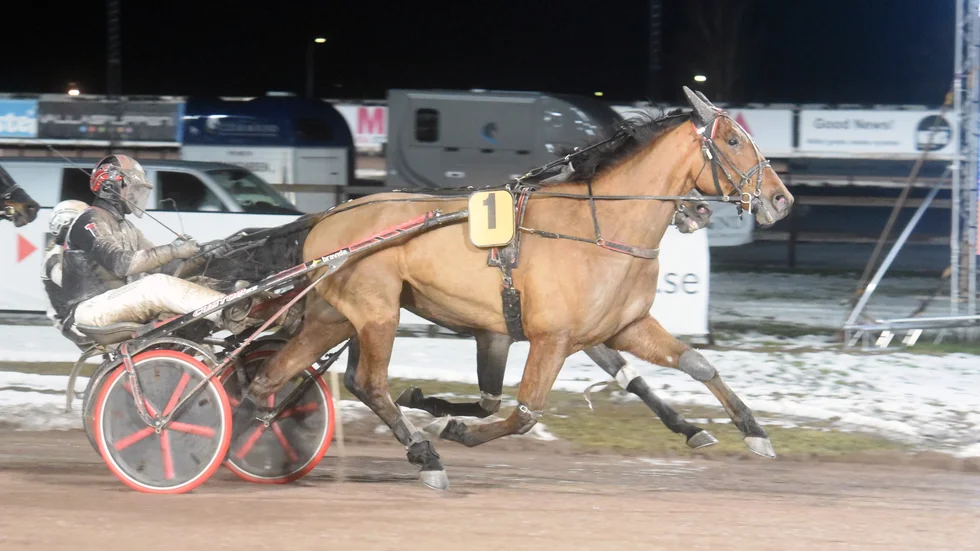 Maestro Crowe vann trots dubbla galopper på vägen för Johan Untersteiner i V75-avslutningen. Detta till stor glädje för flera miljonvinnare. 