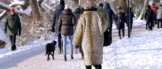 Ett leende gör vardagen roligare