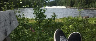 Läsarbilden                   