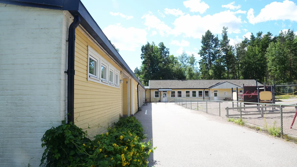 Fladdermöss har tagit sig in i skolkök i Buskhyttan.  
