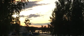Läsarbilden                   