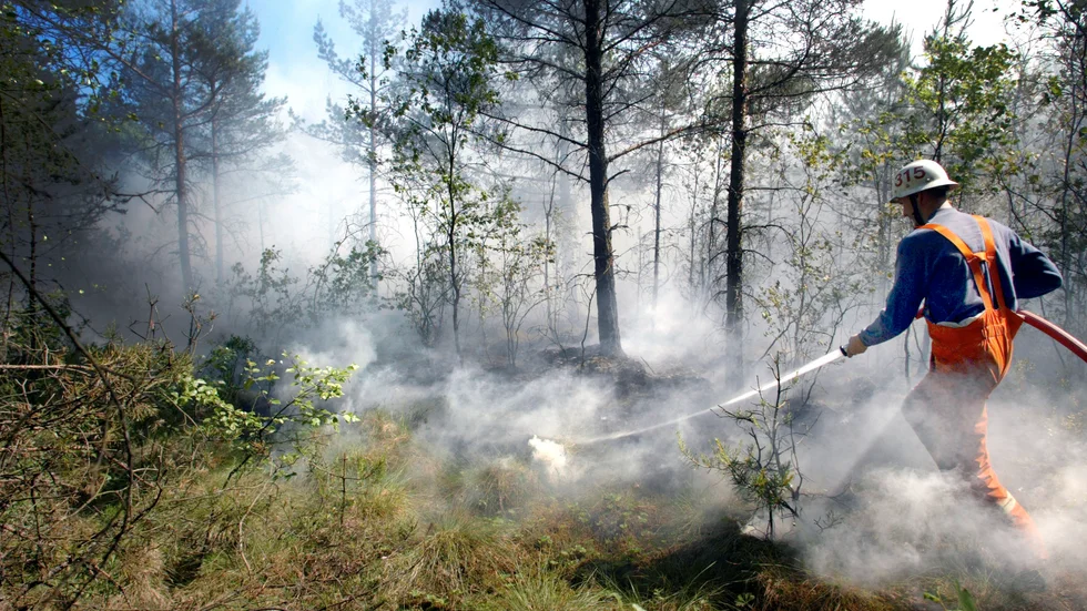 Klimatkrisen fortsätter att breda ut sig. Bland annat ser det ut att bli fler skogsbränder.