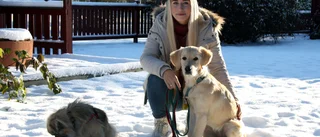 Ida i Skellefteå lever sin dröm – jobbar som hundvakt och influencer