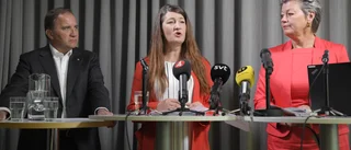Reform, med eller utan parterna