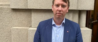 Vikmång (S): "Vi har uppenbart misslyckats"