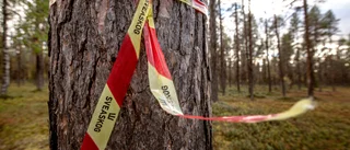 Skogsbolagets svar efter profilernas upprop