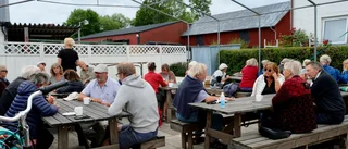 Många goda nyheter för klimatet