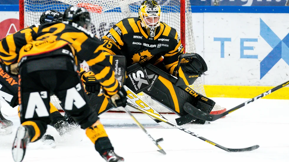 Arvid Söderblom gjorde en bra försäsong och får nu chansen att visa upp sig i SHL. 