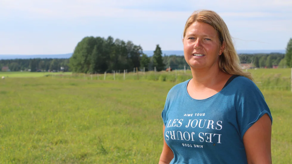"Just nu är det lite för varmt för att det ska vara optimalt. Så nu vill vi ha lite regn så att gräset kan få växa igen.", säger Lisa Nes i Böle. 