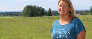 Redig vallskörd i Norrbotten trots den blöta våren – "Nu vill vi ha lite regn så att gräset kan få växa igen"