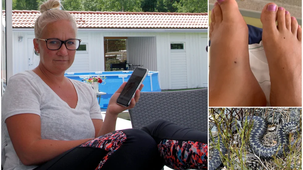 Vänster fot i högläge är vad som gäller för Stallarholmsbon Kristina Peltola. Hon hamnade på sjukhus med svullet ben sedan en huggorm attackerat henne vid tomtgränsen.