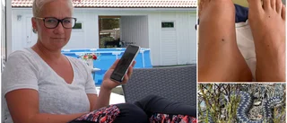 Kristina fick akutvård efter ormbett: "Tappade rösten"