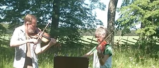 Seniormöte i gotländskt änge  