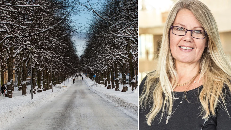"Det största problemet är att gruppen som är i arbetsför inte ökar i samma takt som de övriga grupperna", säger Annika Wallenskog, chefsekonom på Sveriges kommuner och regioner (SKR).