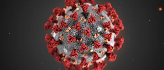 Granska varför vaccinet har dröjt