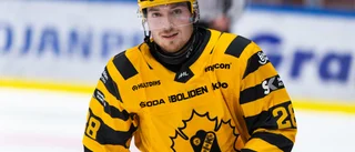 Efter succésäsongen – stort NHL-intresse för AIK:s skyttekung