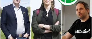 Länets MP-toppar: Hon borde bli nytt språkrör
