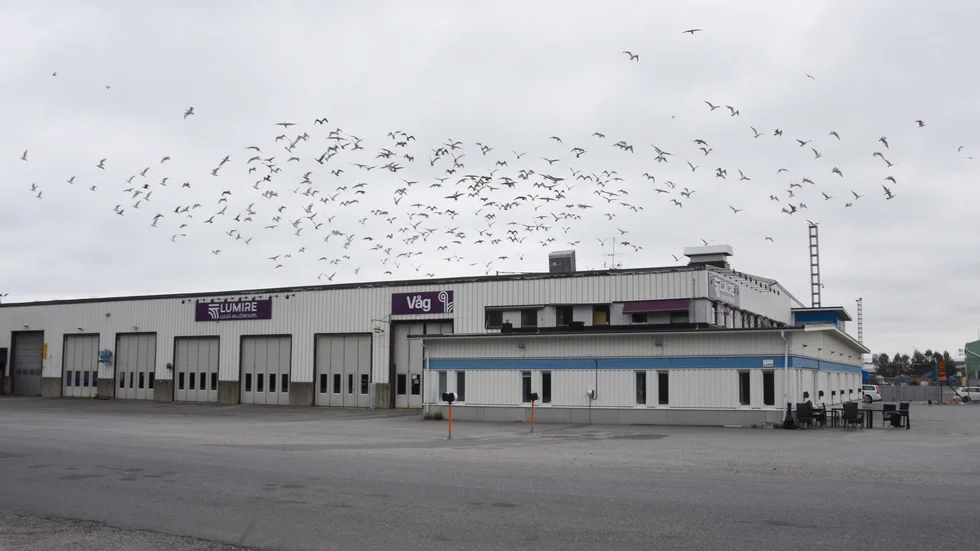 Lumire behöver få bygga högre på sin fastighet på Storheden för att även VA-avdelningens personal ska rymmas. Samgåendet ska ske vid årsskiftet 2021/2022.