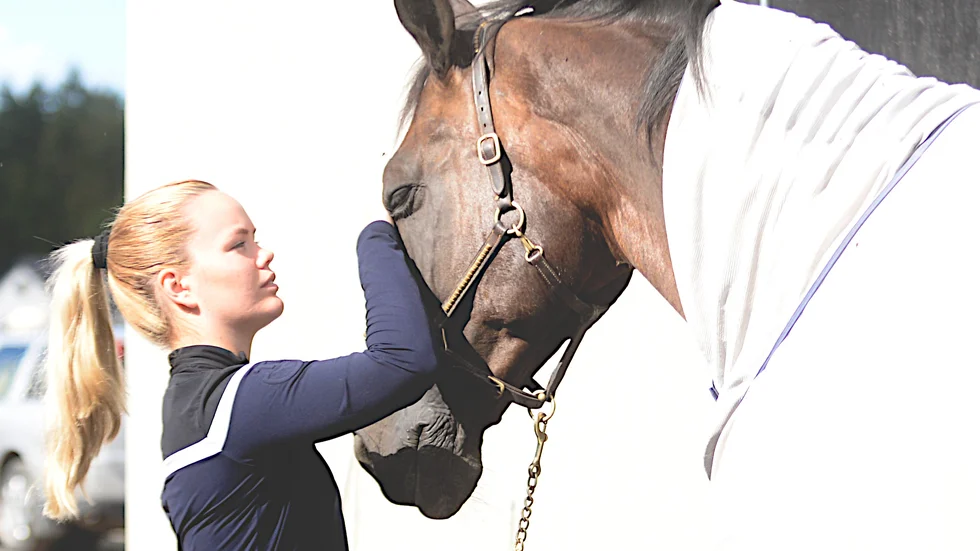 Lina Dolk och Languedoc, som nu är hennes enda grand prix-häst. 