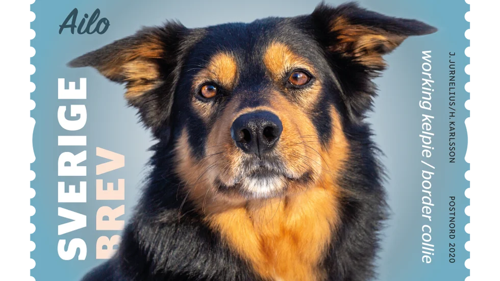 Hunden Ailos frimärke.