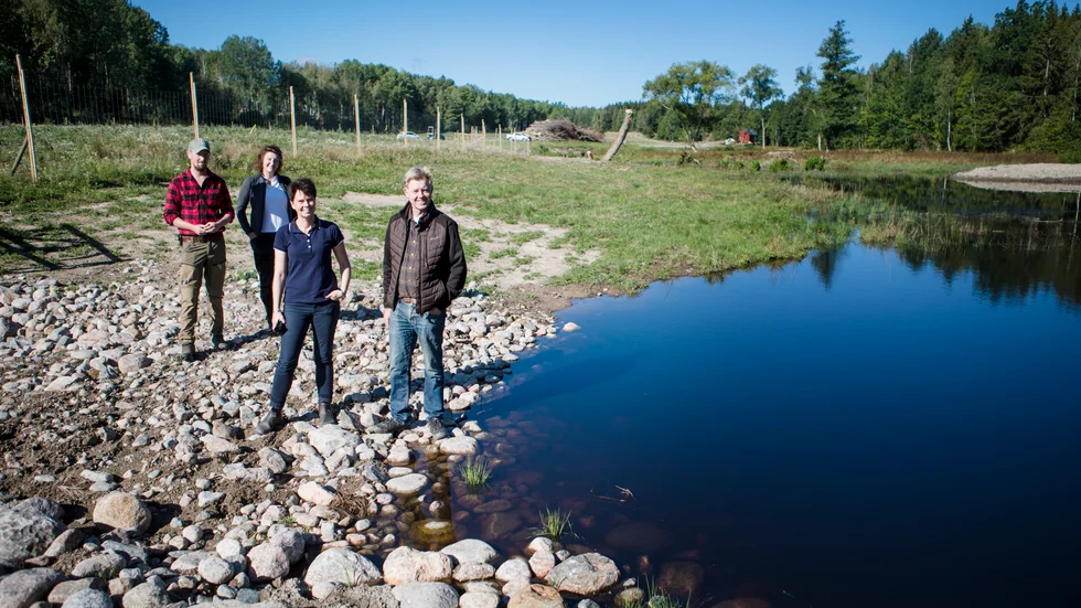 Tobias Pettersson, Anneli Carlén, Jenny Jochnick och Sven Hermelin tittar till den nya våtmarken nära Björkvik. 