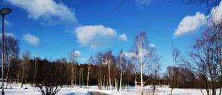Läsarbilden                     