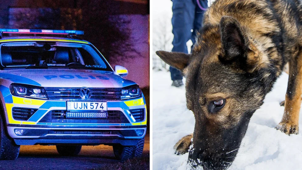 Den misstänkte mannen jagades över en timme innan han greps av polisen.