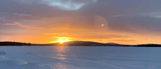 Läsarbilden                   