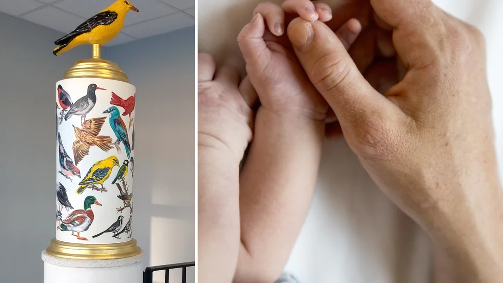 Fåglar från världens alla hörn samlas på Urban Engströms skulptur – som Flens kommun tillägnar förra årets alla bebisar.