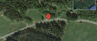Fallna träd skapar problem i trafiken på väg 581