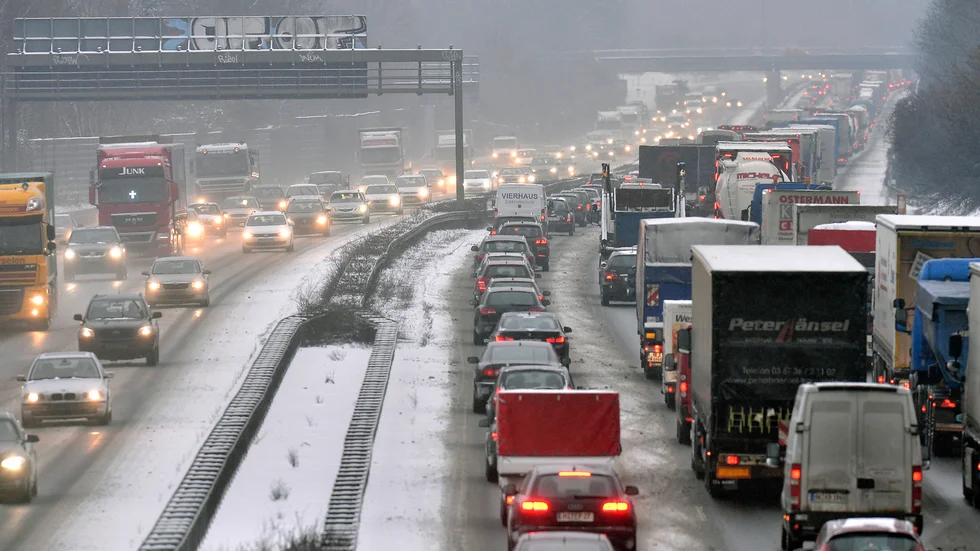 Köer på en motorväg utanför tyska Gelsenkirchen. Arkivbild.
