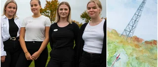 Här är Motalaelevernas affärsidé: "Började först som ett skämt"