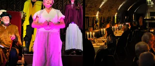 Dinnershow på Nyköpingshus – på god väg fram