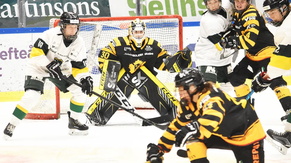 19-åriga Julia Nilsson gjorde sin första seriematch i Skellefteå AIK och lämnade isen med tre poäng och 29 räddningar. 