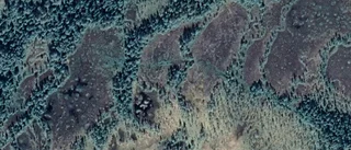Ny ägare till gård i Adak