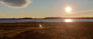 Läsarbilden                   